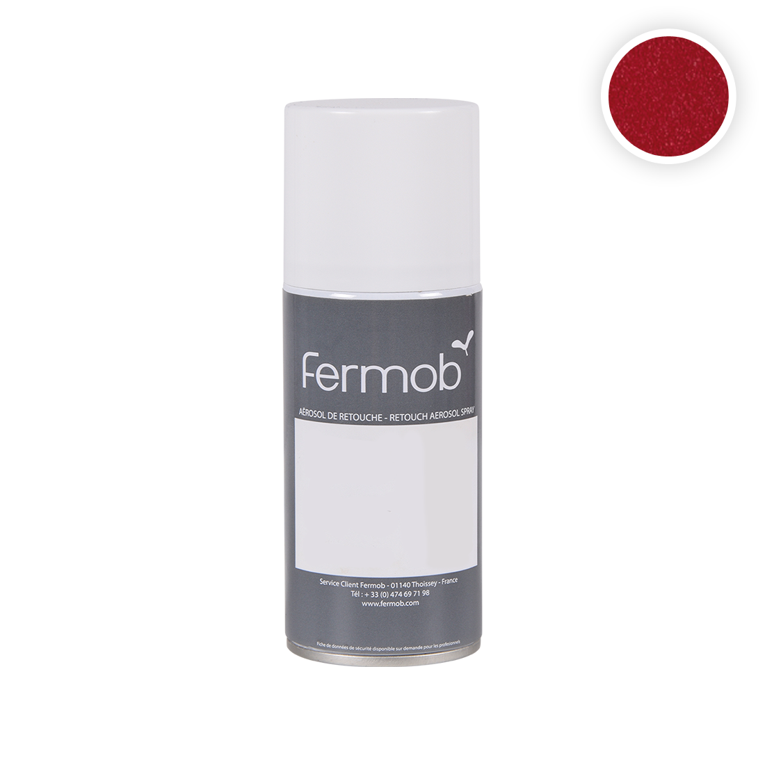 2865 ACCESORIOS aerosol